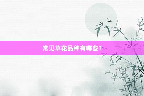 常见草花品种有哪些？