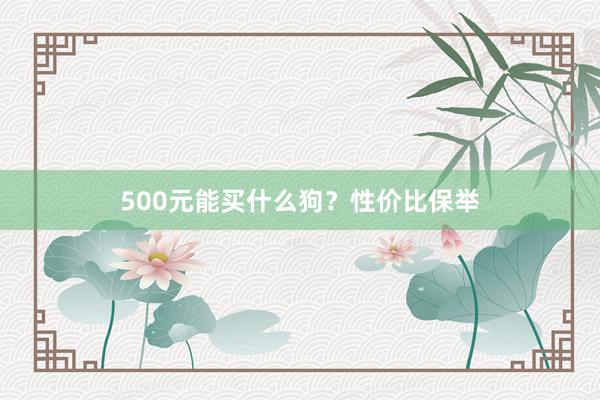 500元能买什么狗？性价比保举
