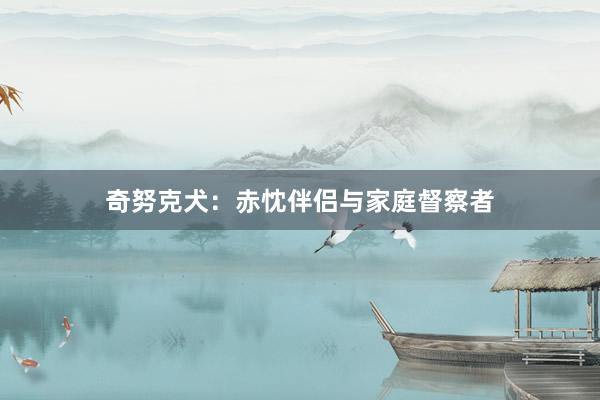 奇努克犬：赤忱伴侣与家庭督察者